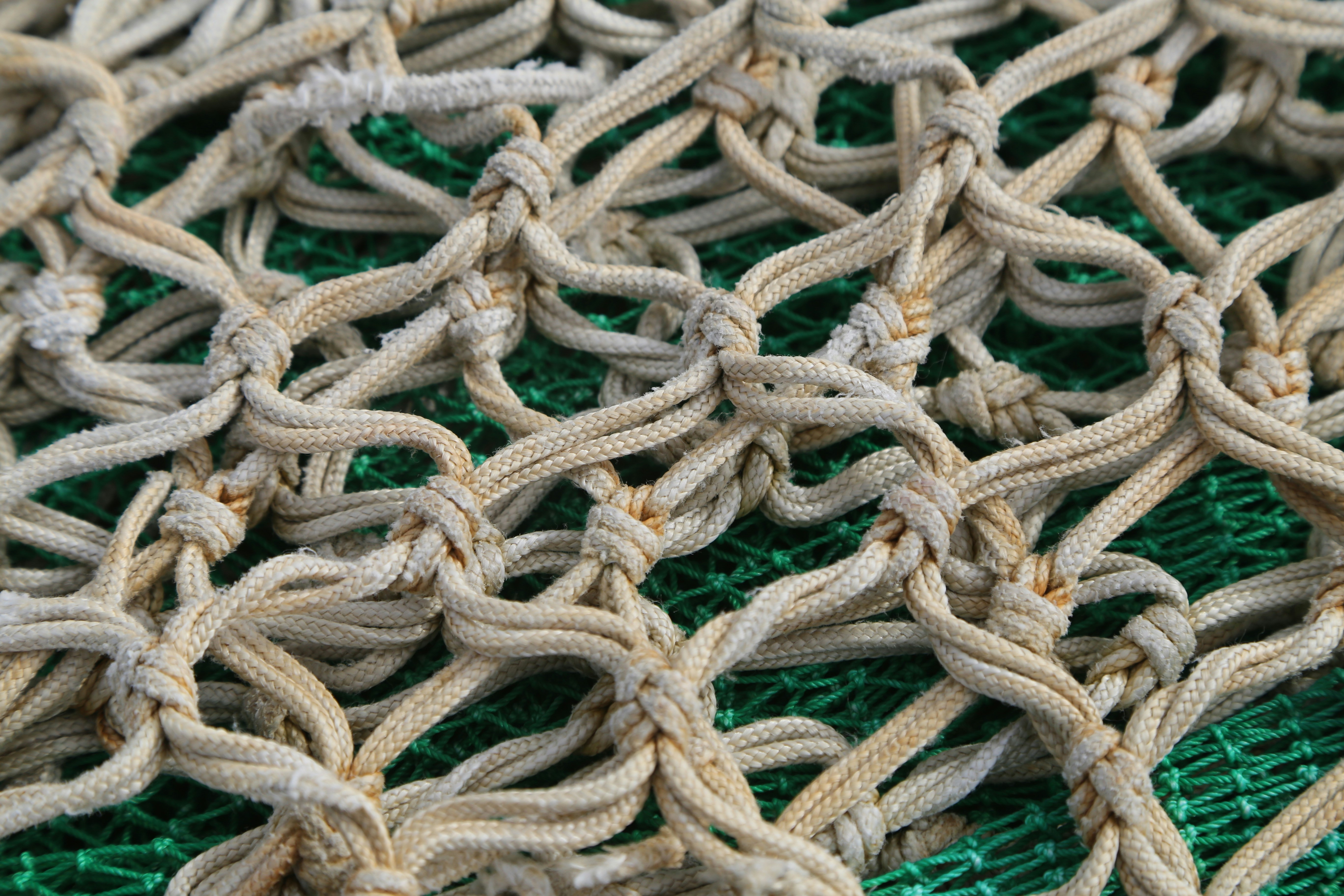 fishing knot