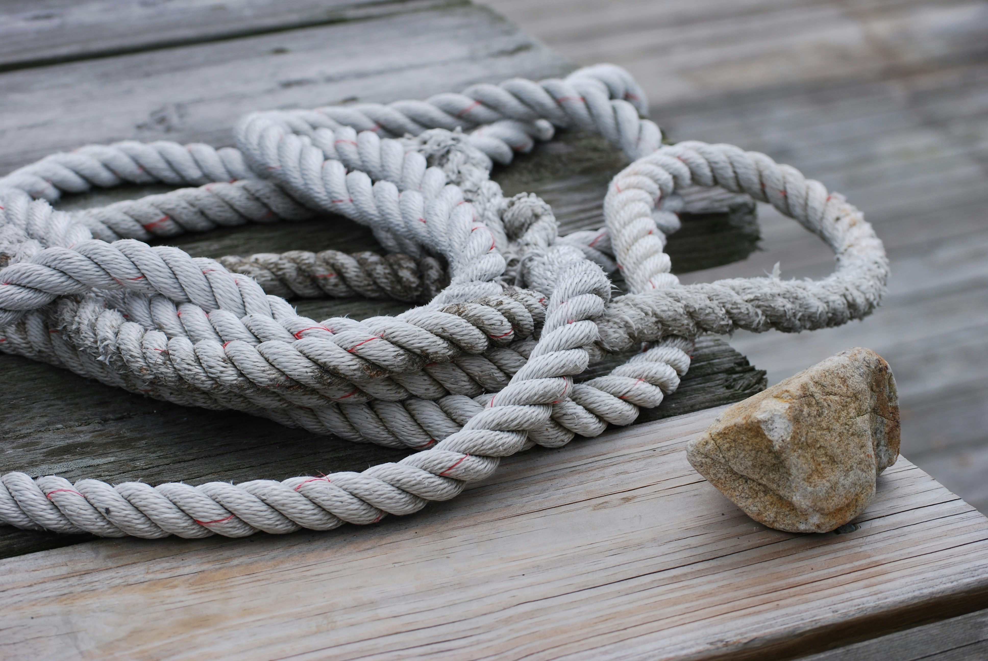 The ultimate fishing knots guide
